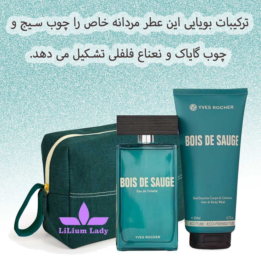 عطر مردانه بویس د سوگ ایوروشه ۱۰۰ میلی لیتر — تصویر ۸