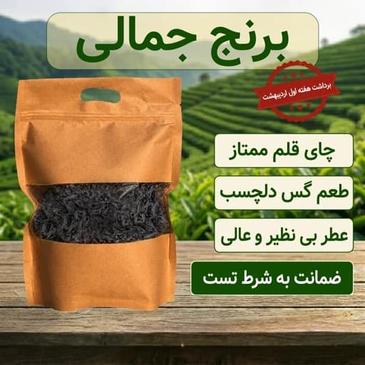چای قلم درشت بهاره،برداشت هفته اول اردیبهشت،ارسال رایگان،برنج جمالی