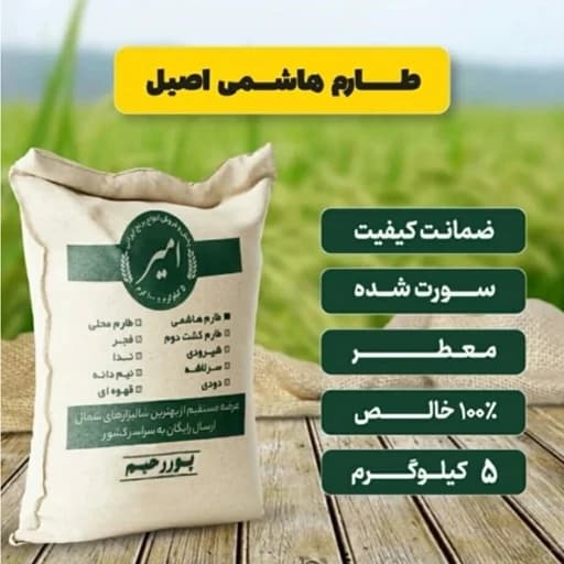 برنج طارم هاشمی اصیل معطر امساله (5 کیلوگرم)