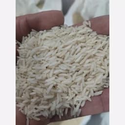 برنج طارم معطر درجه یک فریدونکنار . 3 کیلویی — تصویر ۳