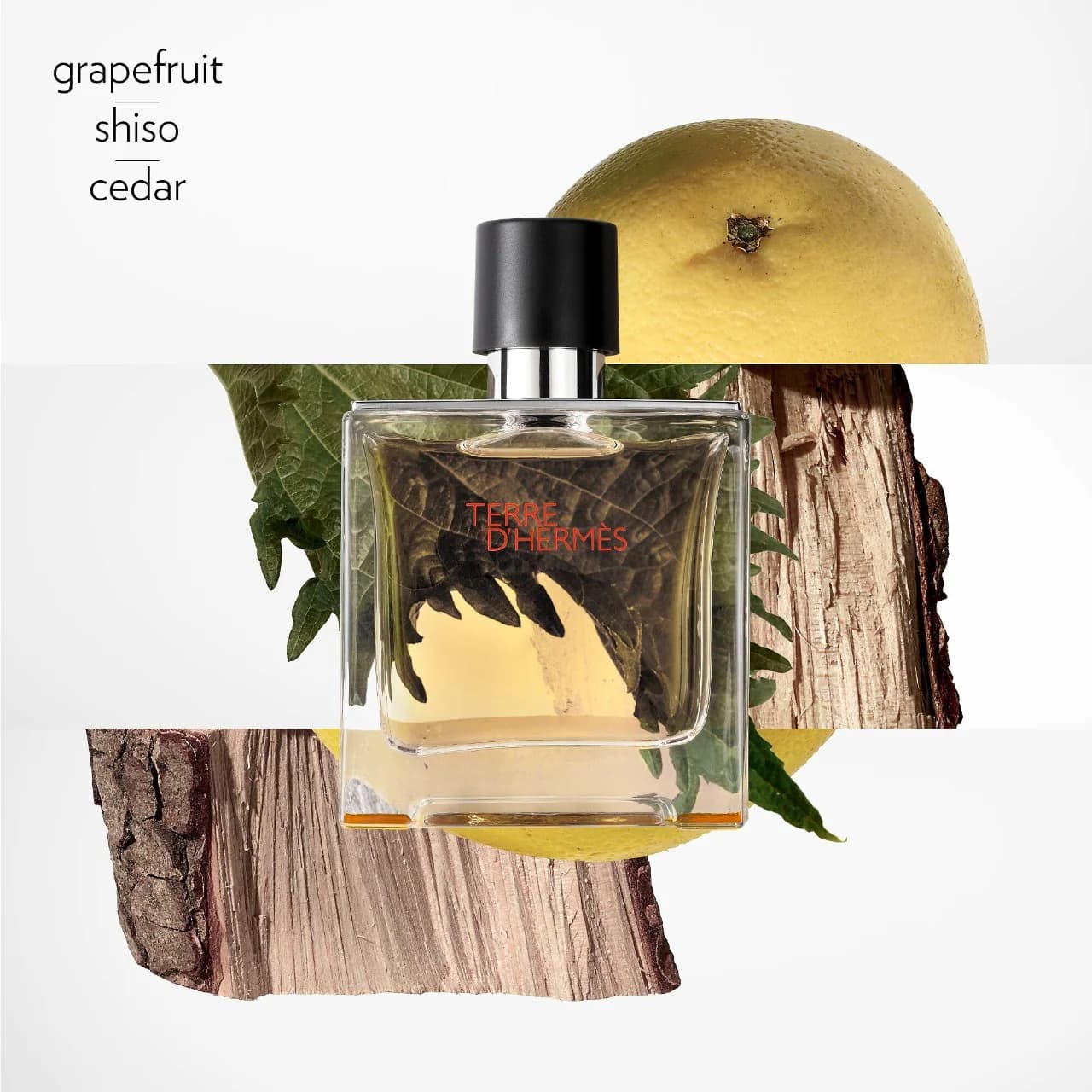 پرفیوم مردانه هرمس تق هرمس _ Hermes Terre d’Hermès Parfum 200ml — تصویر ۶