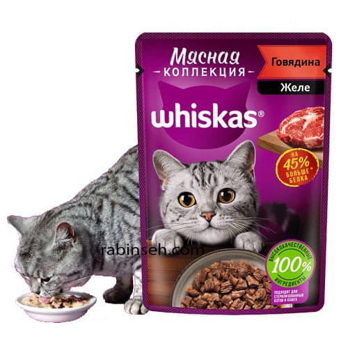 پوچ گربه بد غذا ویسکاس طعم گوشت گوساله در ژله 75 گرمی