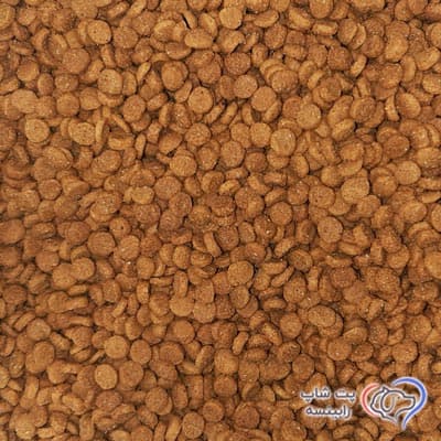 غذای خشک مونژه گربه بالغ عقیم شده طعم مرغ فله ای (بسته بندی رابینسه) — تصویر ۲