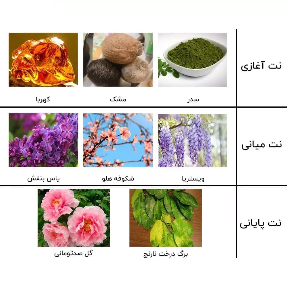 ادوپرفیوم زنانه نیفتی مدل اکلت حجم 100 میلی‌لیتر — تصویر ۳