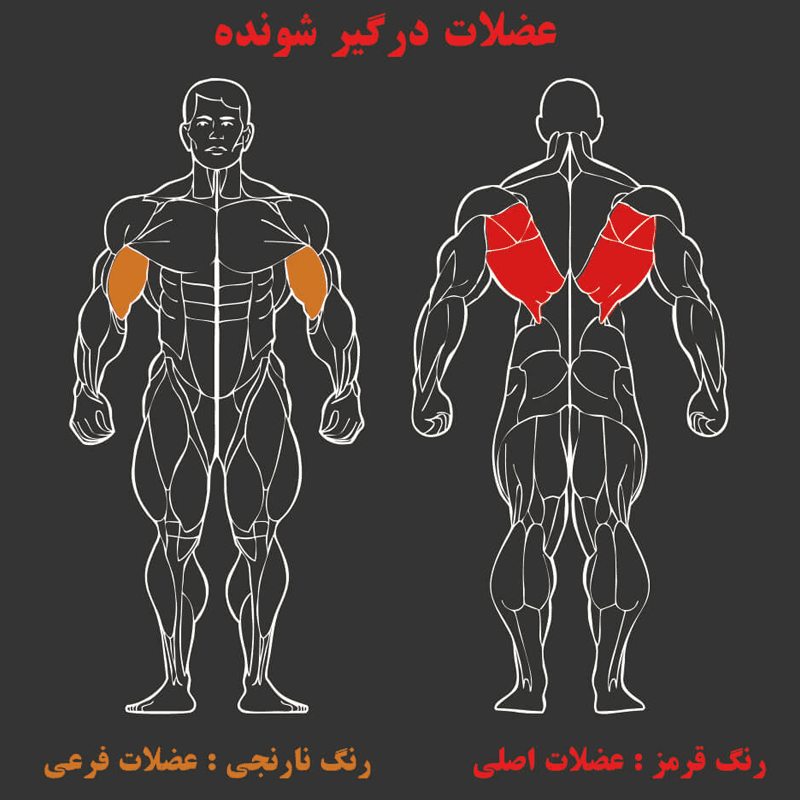 دستگاه بدنسازی زیر بغل لت MBH T8-012 — تصویر ۵
