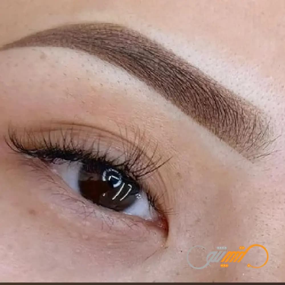رنگ ایونفلو Evenflo Oak — تصویر ۷