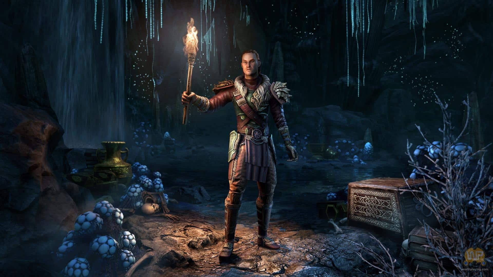 The Elder Scrolls Online: Greymoor Collector’s Edition official website CD Key — تصویر ۱۰