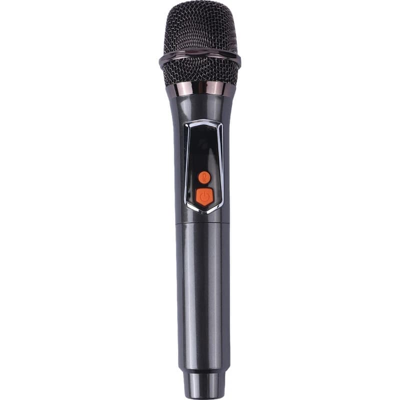 اسپیکر چمدانی بلوتوثی برودو BTS-1995 + میکروفون و ریموت کنترل — تصویر ۶