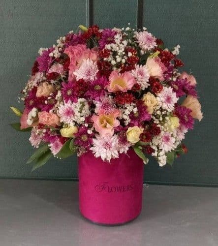 جعبه گل بزرگ داوودی اقتصادی 927