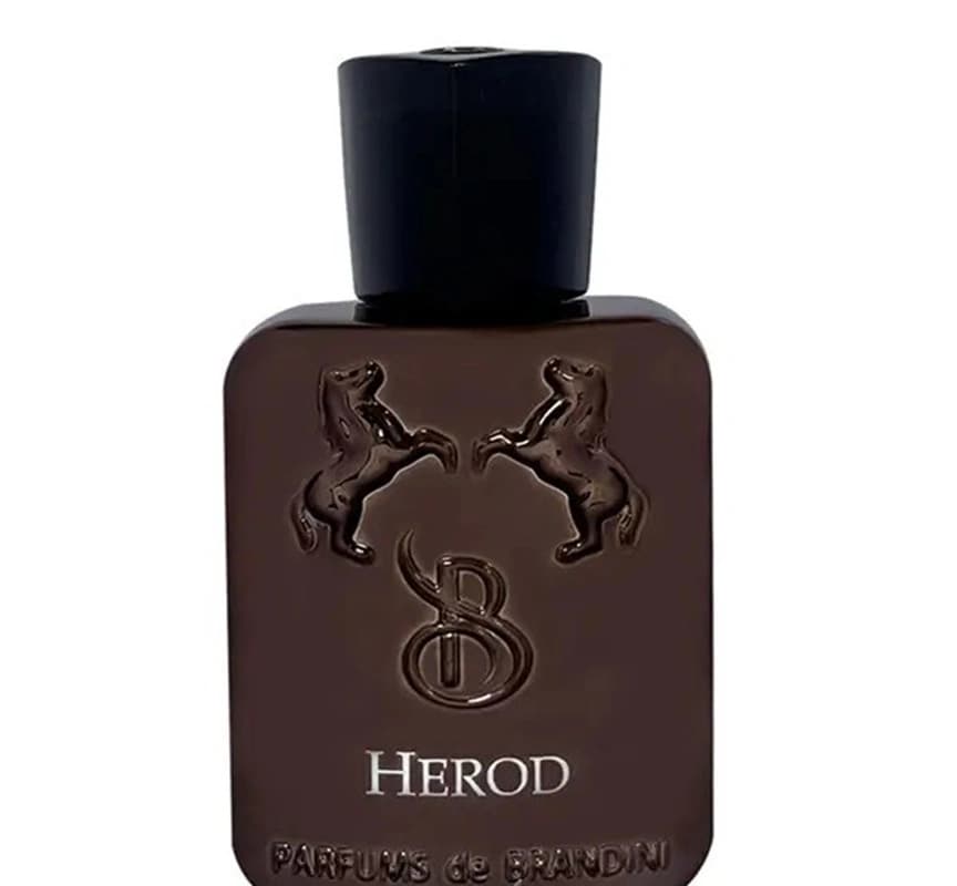 ادکلن مردانه برندینی مدل مارلی herod حجم 33mL — تصویر ۶