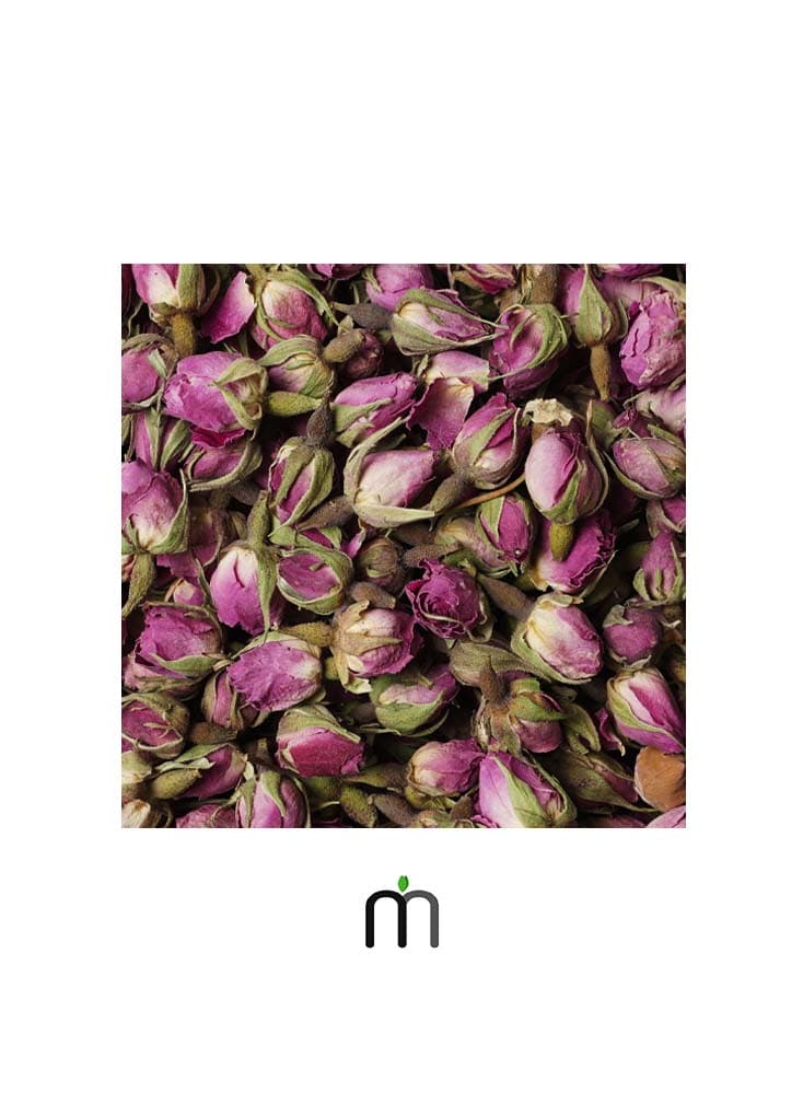 غنچه گل سرخ — تصویر ۳
