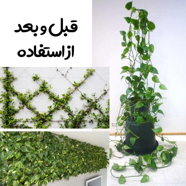 گیره پتوس قفل دار بسته 10 عددی کد T 10 — تصویر ۸