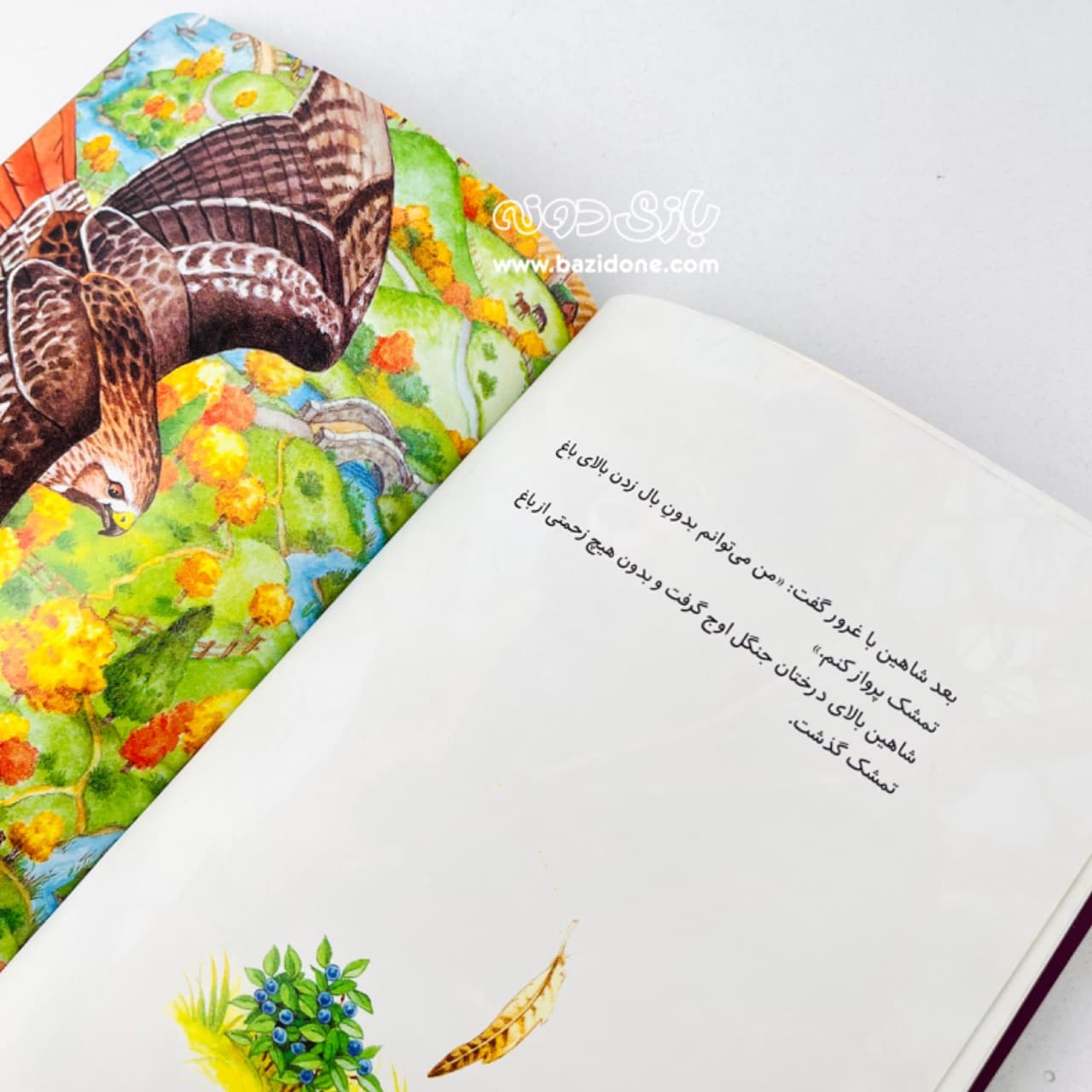 کتاب فرانکلین دروغ می‌گوید — تصویر ۳