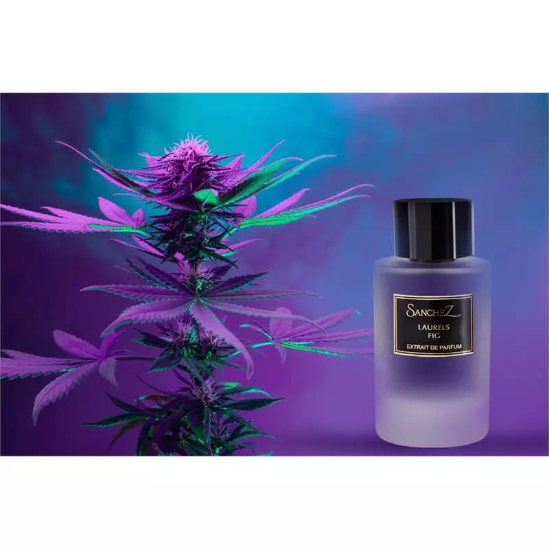 اکستریت پرفیوم سانچز مدل LAURELS FIG — تصویر ۵