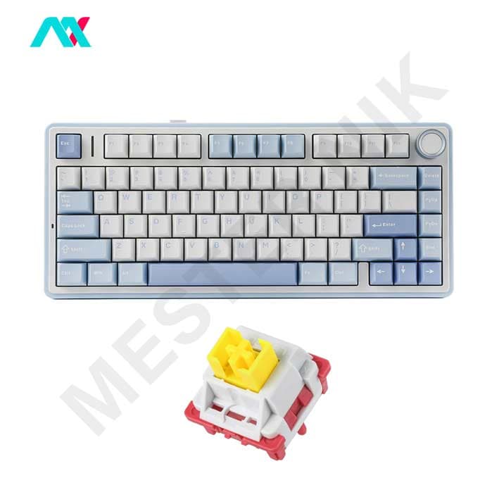 کیبورد گیمینگ تمام مکانیکال آئولا مدل F75 SEA SALT BLUE NIMBUS SWITCH — تصویر ۳