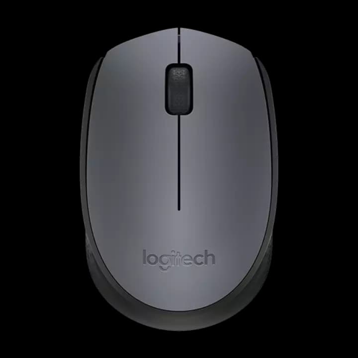 موس بی سیم لاجیتک M171