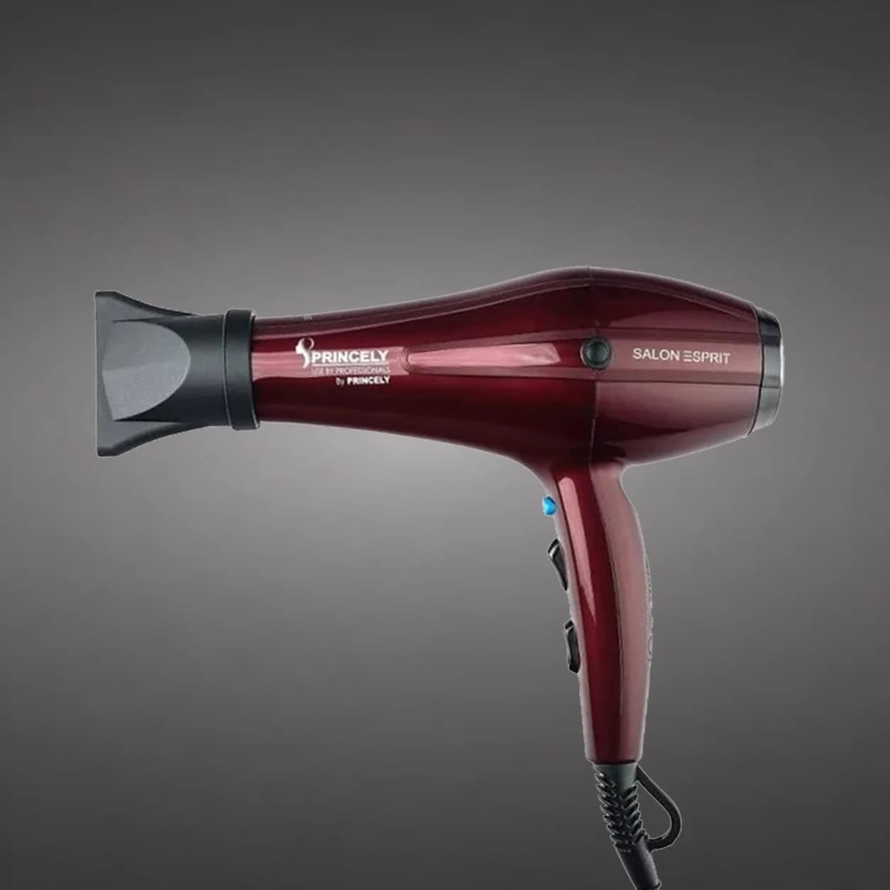 سشوار حرفه ای پرنسلی PR250AT — تصویر ۲