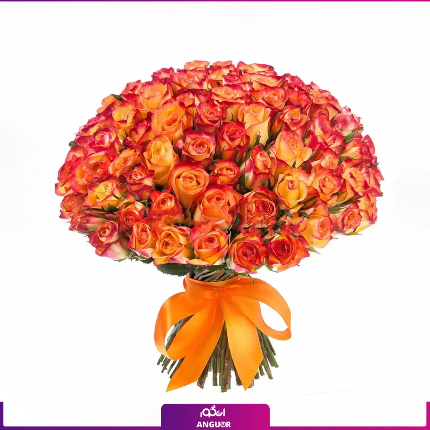 دسته گل بزرگ رز نارنجی – ۱۵۱ شاخه (ساقه ۴۰ سانتی) — تصویر ۲