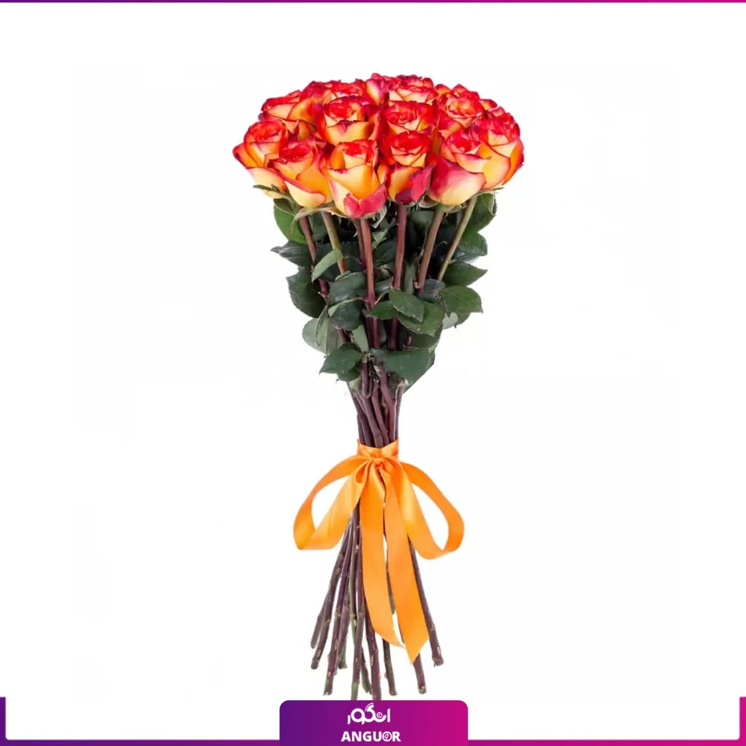 دسته گل رز نارنجی 17 شاخه 70 سانتی