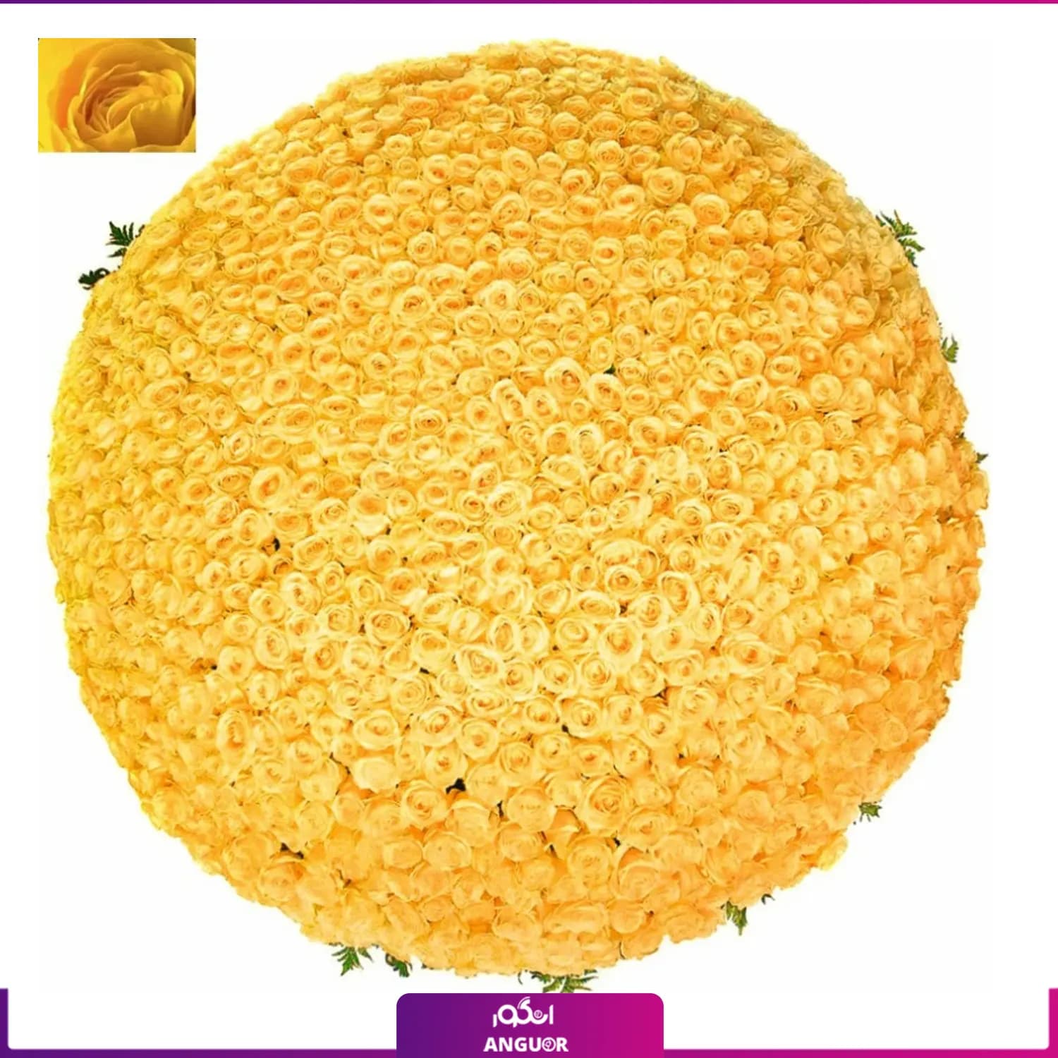 دسته گل رز زرد 1001 شاخه