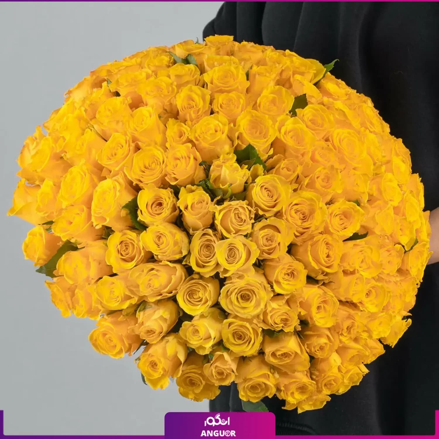دسته گل رز زرد 151 شاخه 40 سانتی
