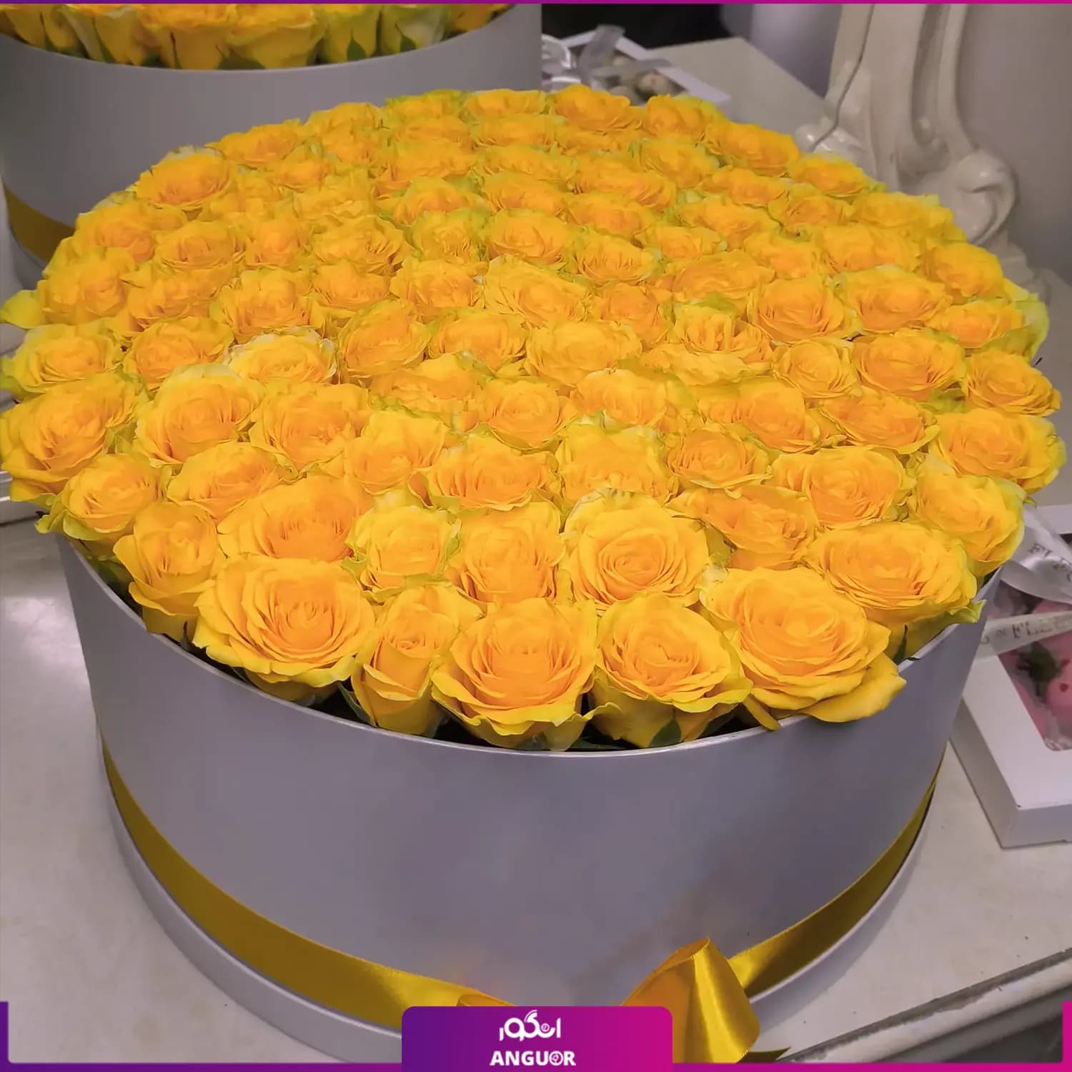 باکس گل رز زرد 95 شاخه