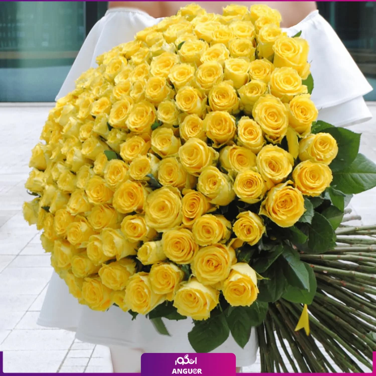 دسته گل رز زرد 101 شاخه 70 سانتی