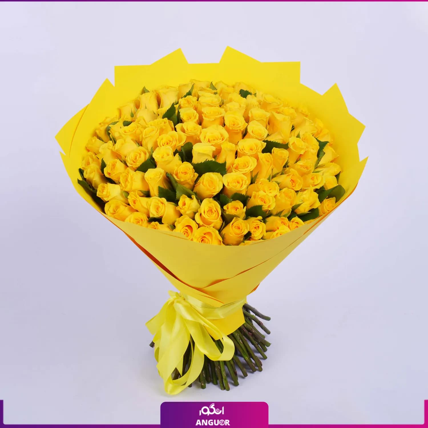 دسته گل رز زرد 101 شاخه 40 سانتی با کاغذ زرد