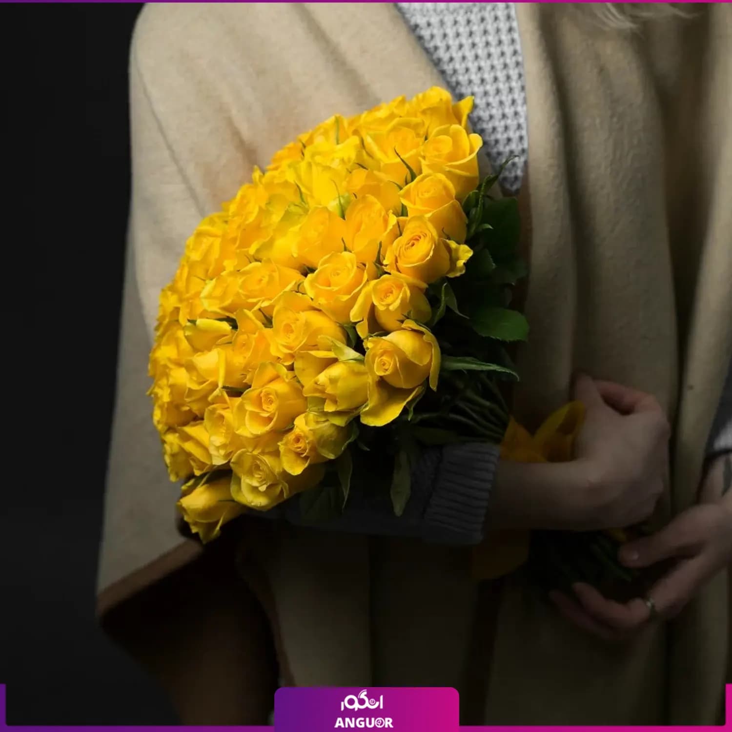 دسته گل رز زرد بدون تزیین 51 شاخه — تصویر ۳