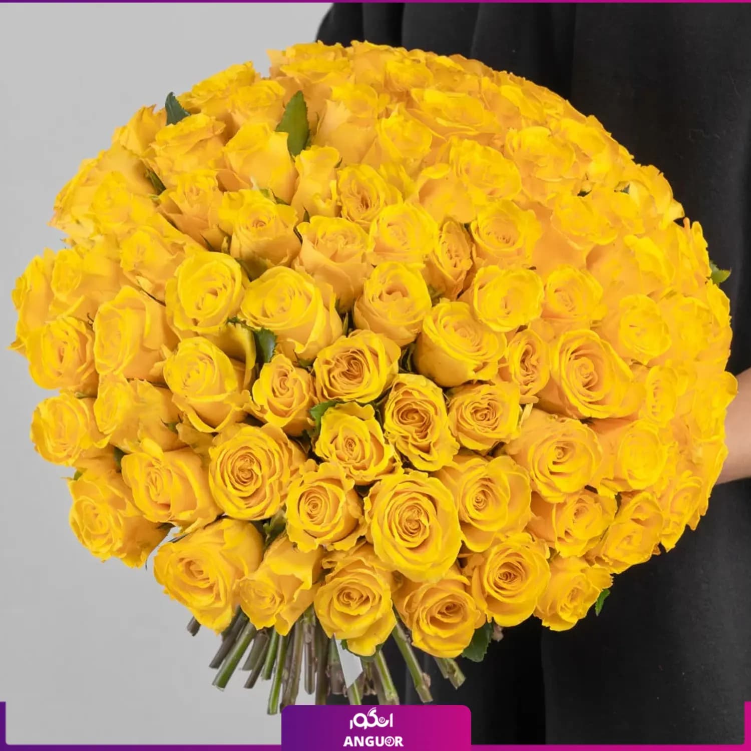 دسته گل رز زرد 101 شاخه