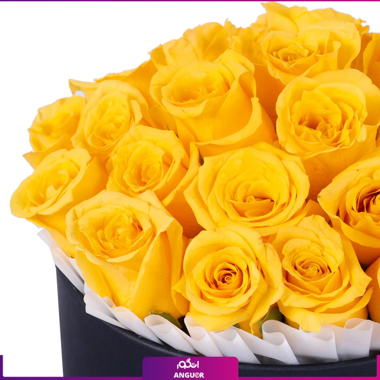 باکس گل رز زرد 25 شاخه — تصویر ۴