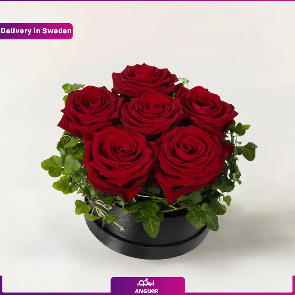 باکس گل رز قرمز 6 شاخه (ارسال گل به سوئد )
