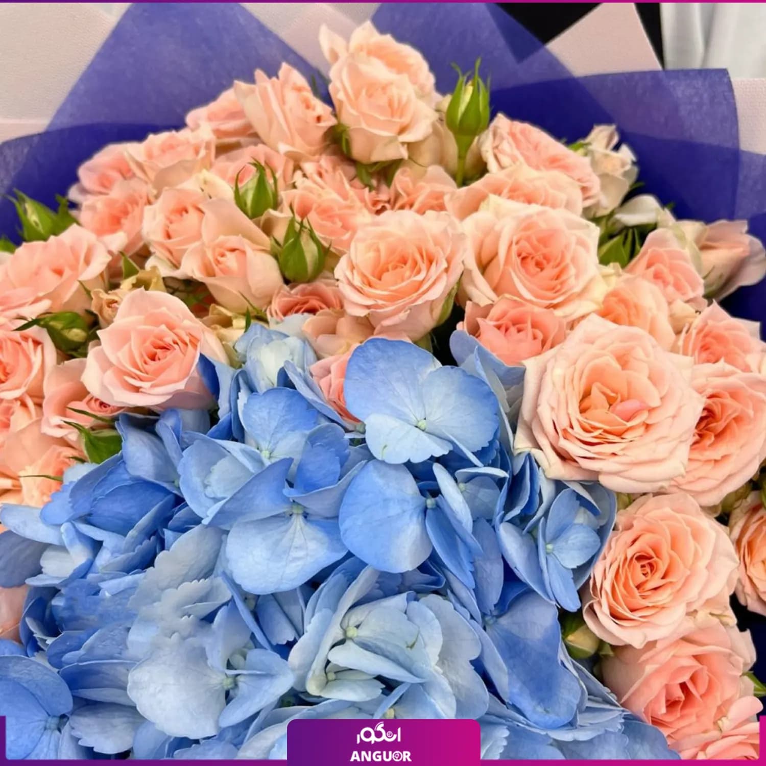 دسته گل ادریسی آبی و رز مینیاتوری — تصویر ۲