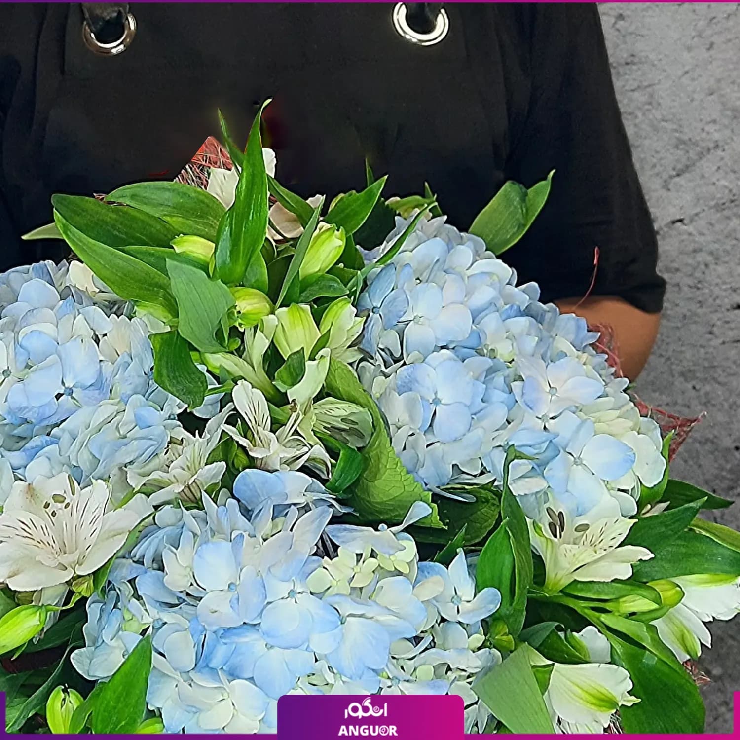 دسته گل ادریسی آبی — تصویر ۵