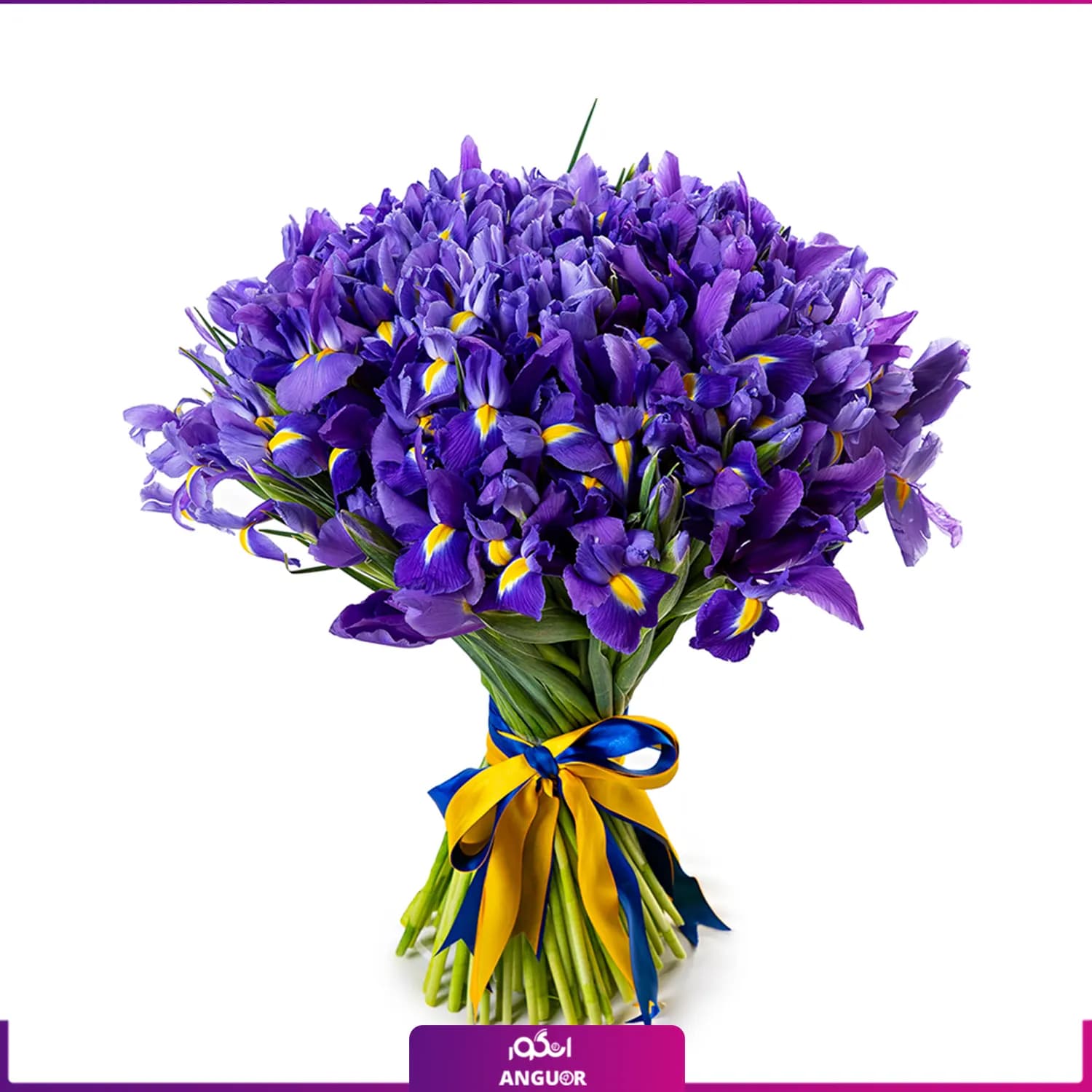 دسته گل زنبق (60 عددی)
