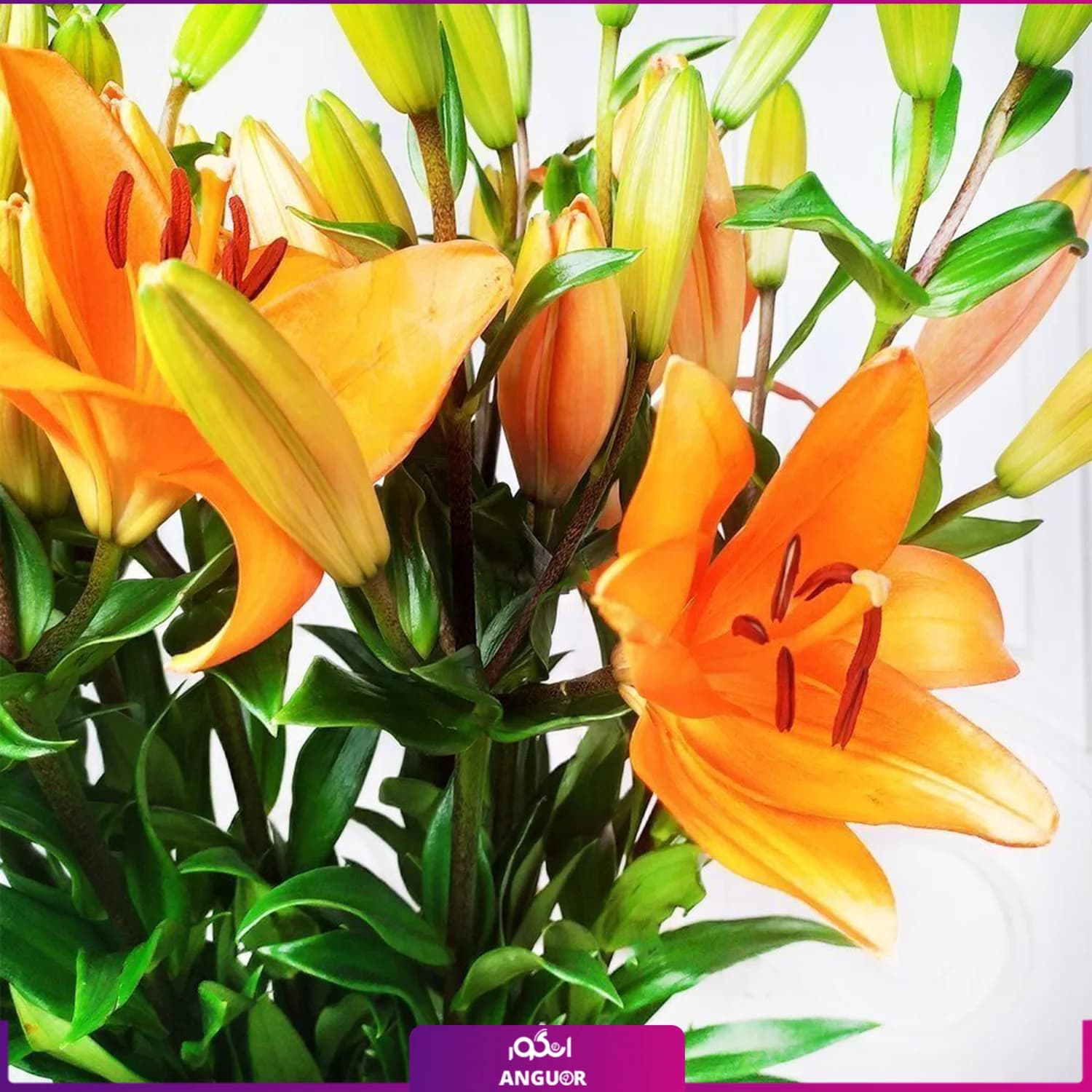 دسته گل لیلیوم نارنجی با گلدان شیشه ای — تصویر ۳