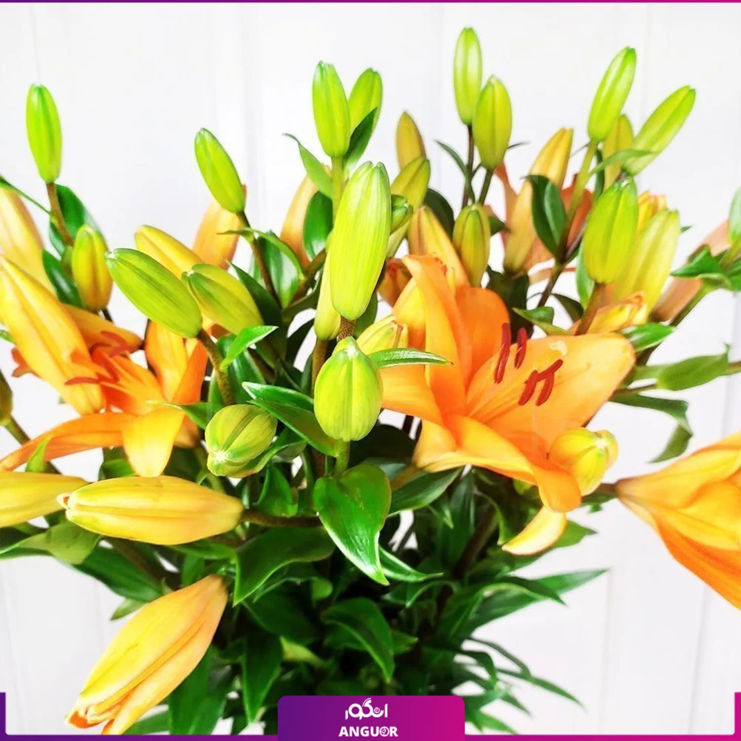 دسته گل لیلیوم نارنجی با گلدان شیشه ای — تصویر ۲