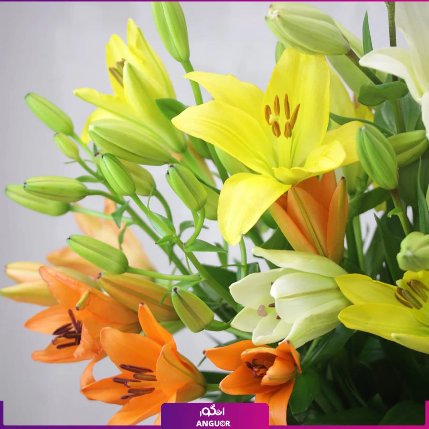 دسته گل لیلیوم با گلدان شیشه ای — تصویر ۲