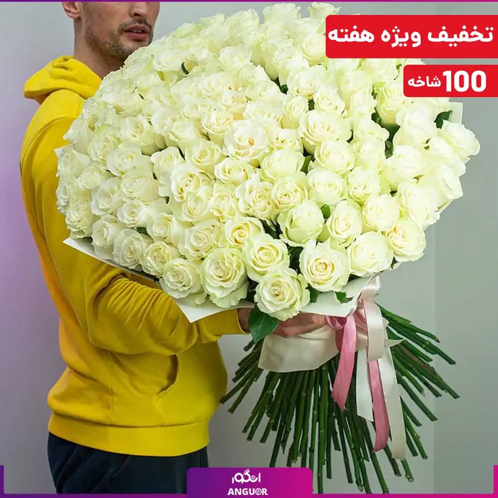 دسته گل بزرگ رز سفید هلندی ساقه‌بلند – ۱۰۰ شاخه