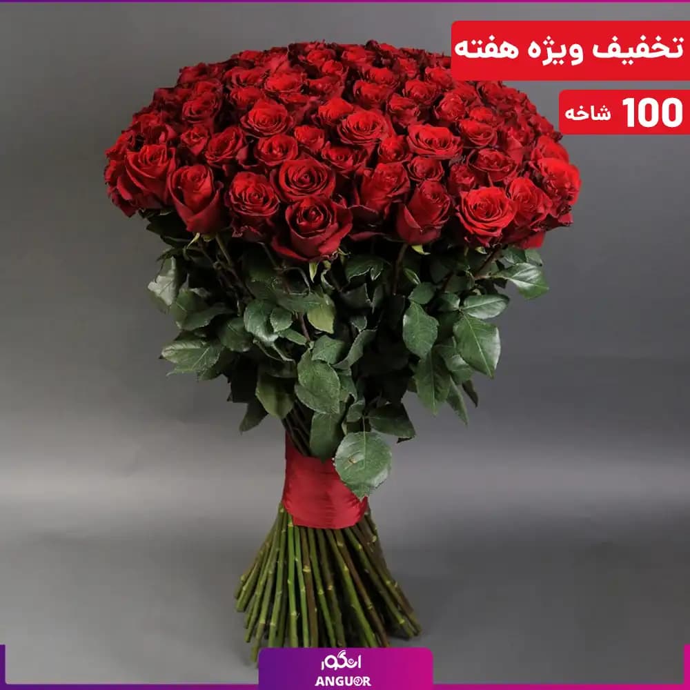 دسته گل رز قرمز هلندی ممتاز – ۱۰۰ شاخه