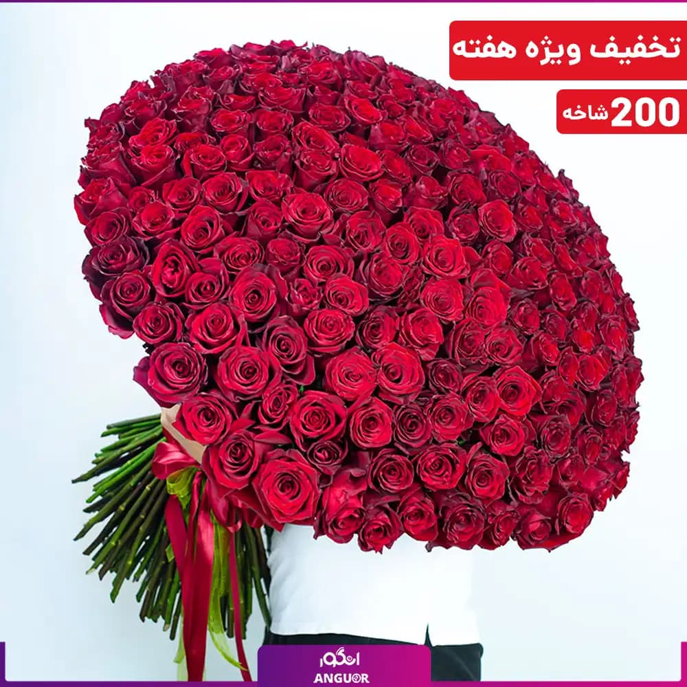 دسته گل 200 شاخه رز قرمز ساقه بلندی (رز هلندی)