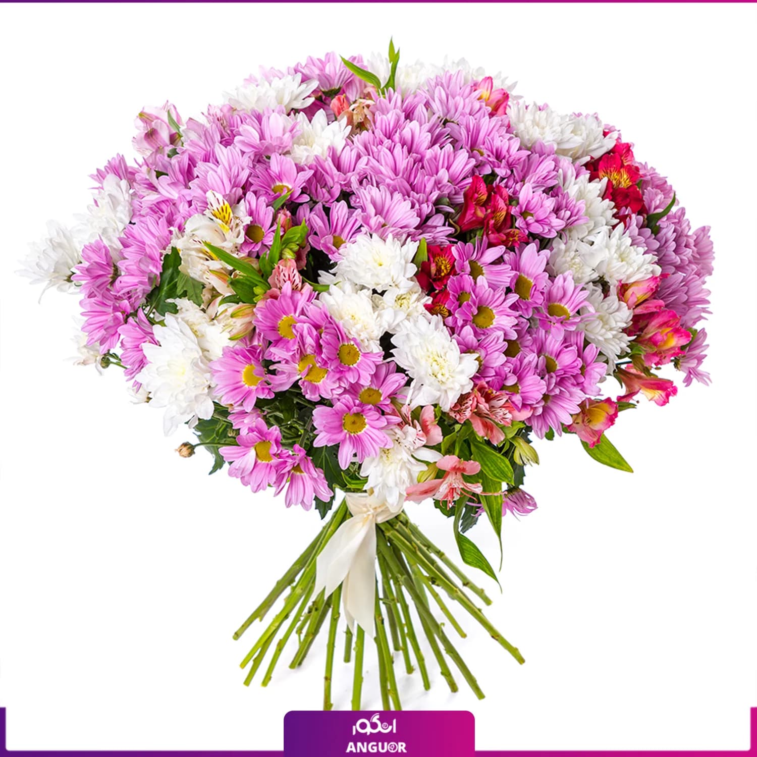 دسته گل داوودی و آلستر