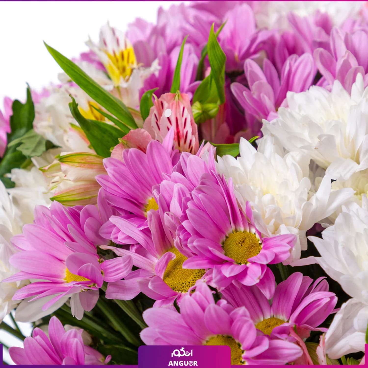 دسته گل داوودی و آلستر — تصویر ۳