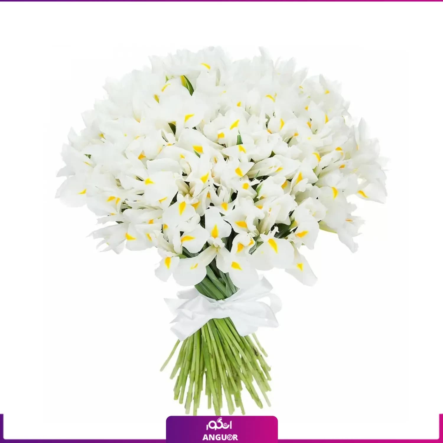 دسته گل زنبق سفید (50 عددی)