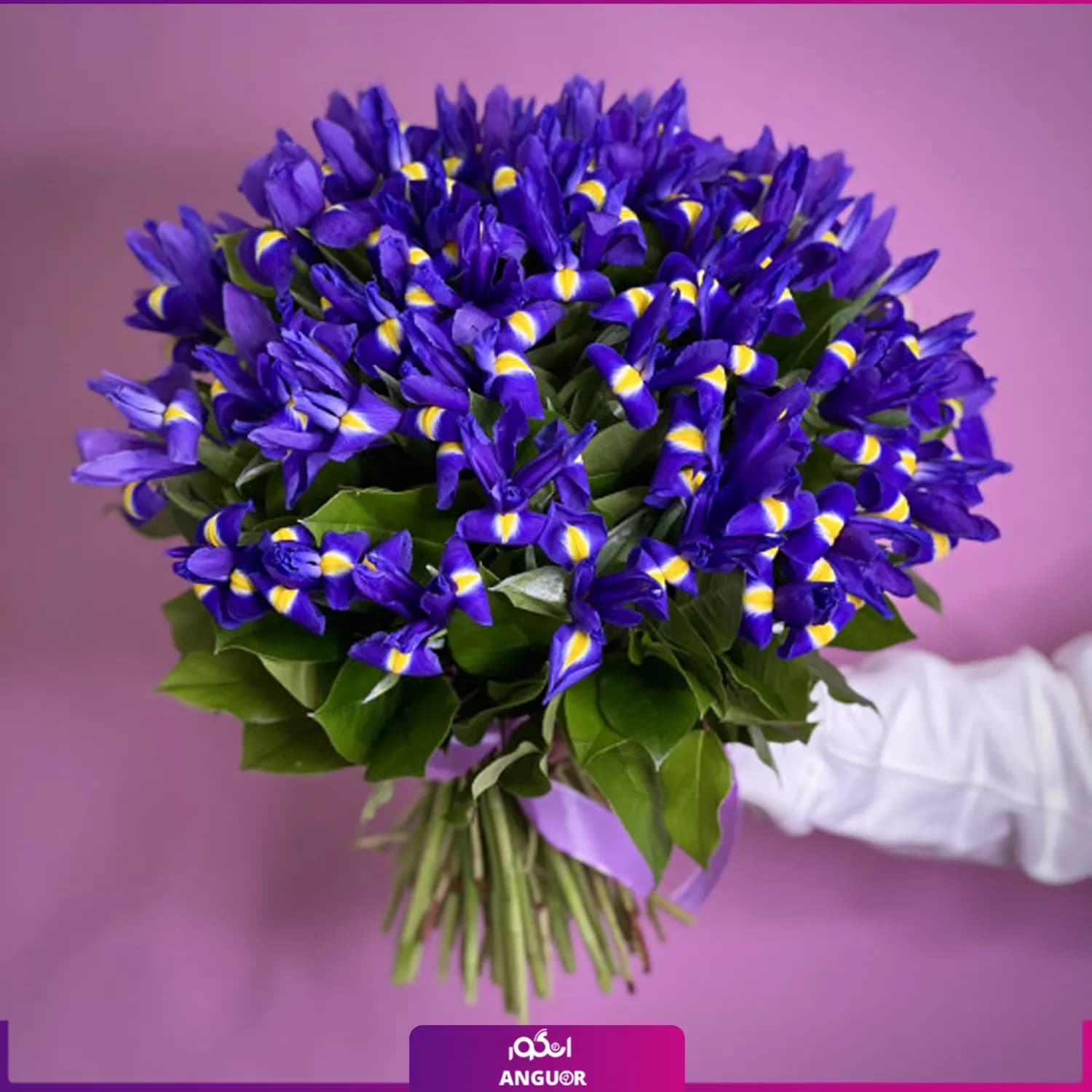 دسته گل زنبق بنفش 45 تایی