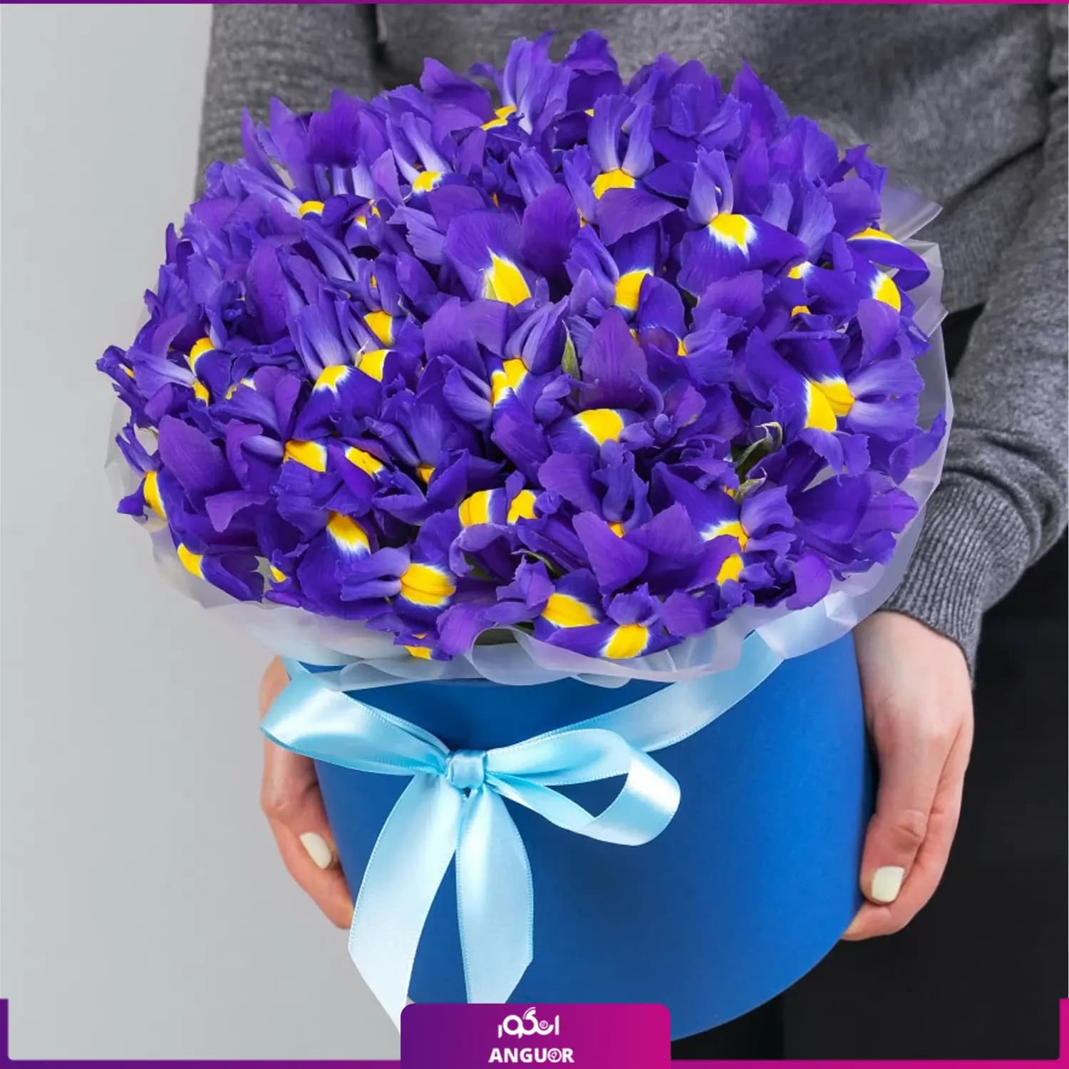 باکس گل زنبق بنفش 50 عددی