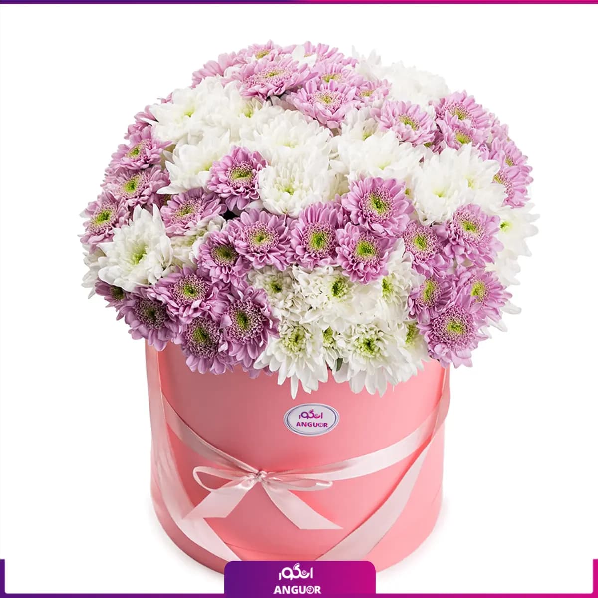 باکس گل داوودی صورتی و سفید