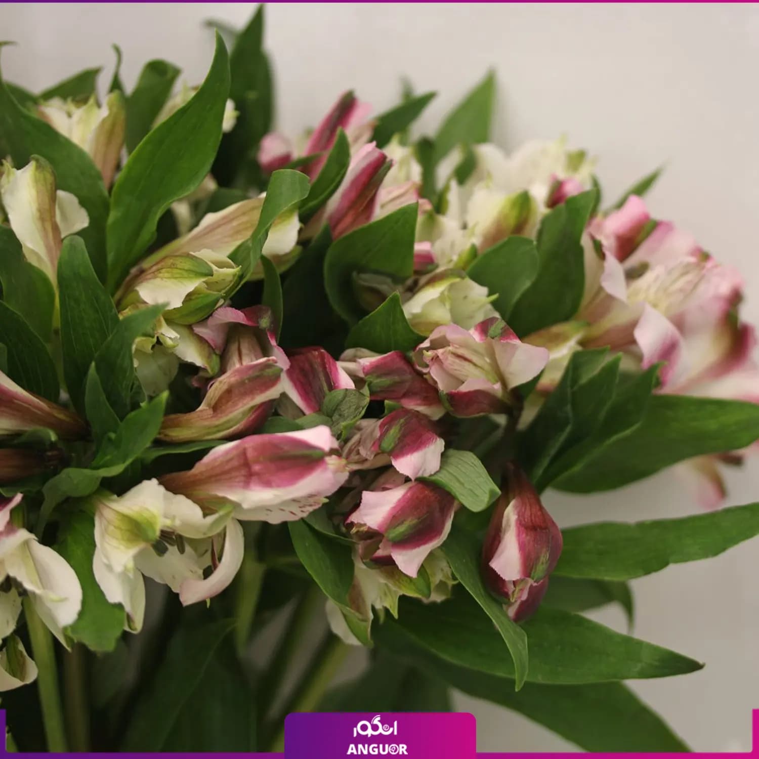 دسته گل آلسترومریا با گلدان شیشه‌ای (رنگبندی) — تصویر ۲