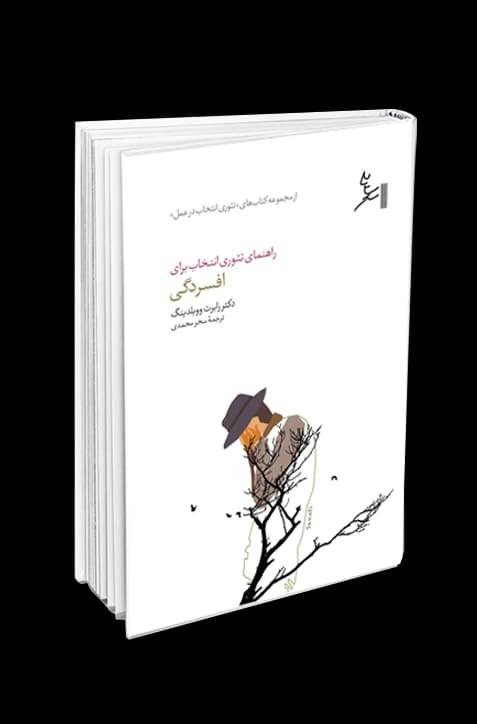 راهنمای تئوری انتخاب برای افسردگی — تصویر ۳