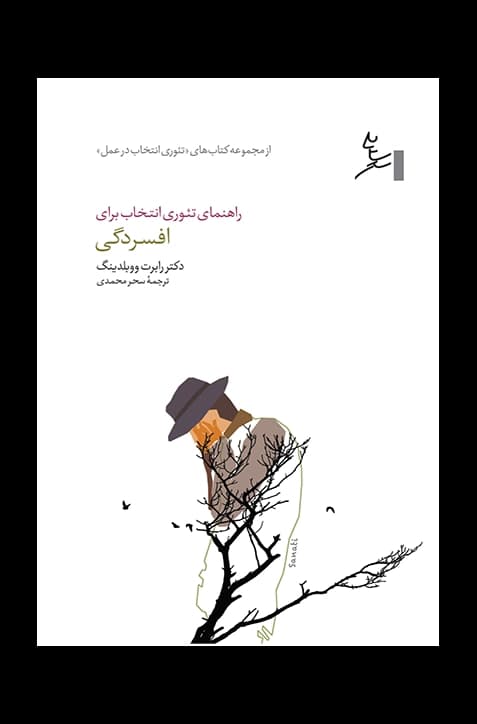 راهنمای تئوری انتخاب برای افسردگی — تصویر ۲